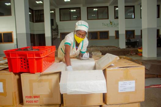 Conditionnement des lots pour export