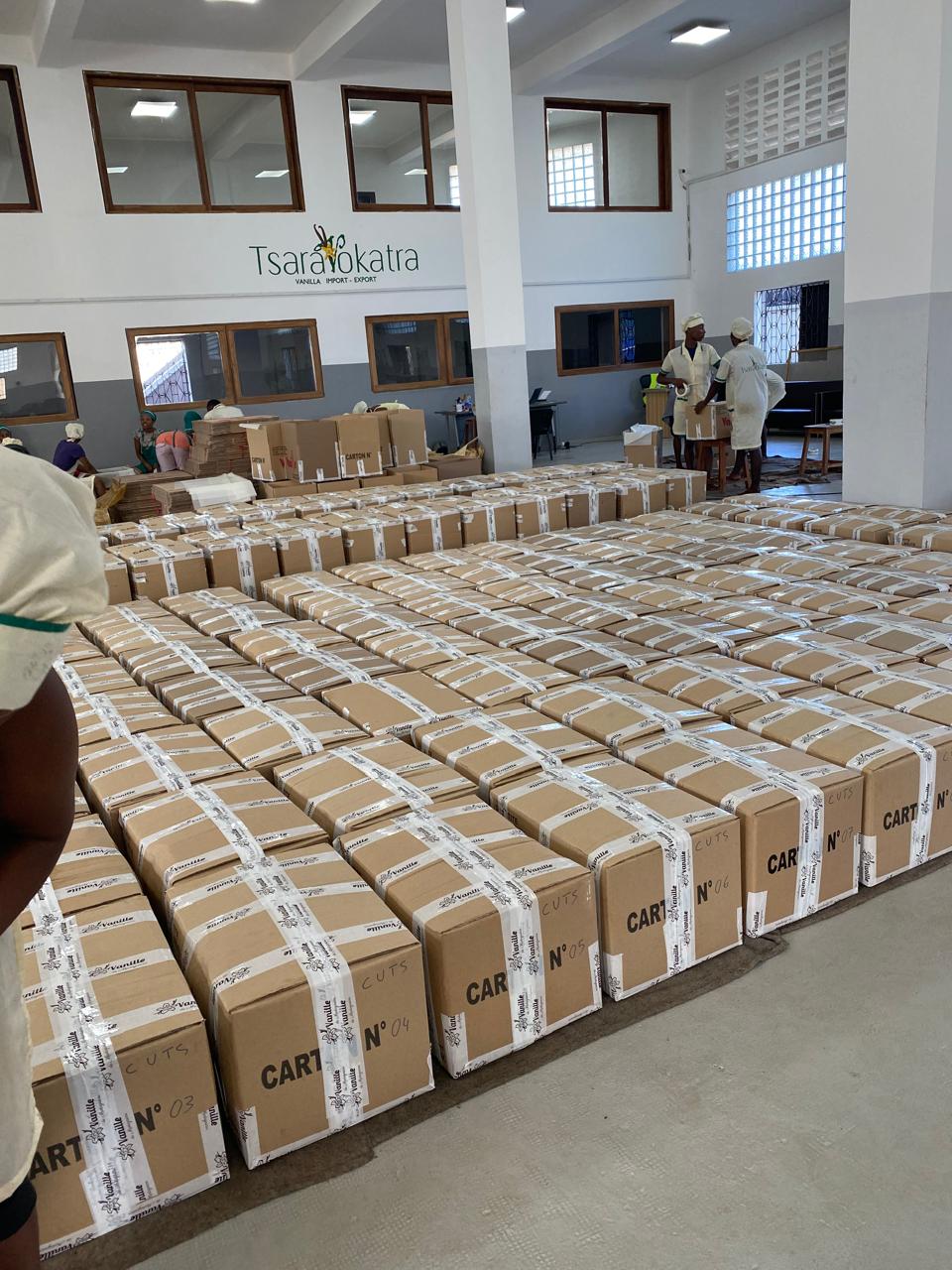 Mise en carton de la vanille pour export